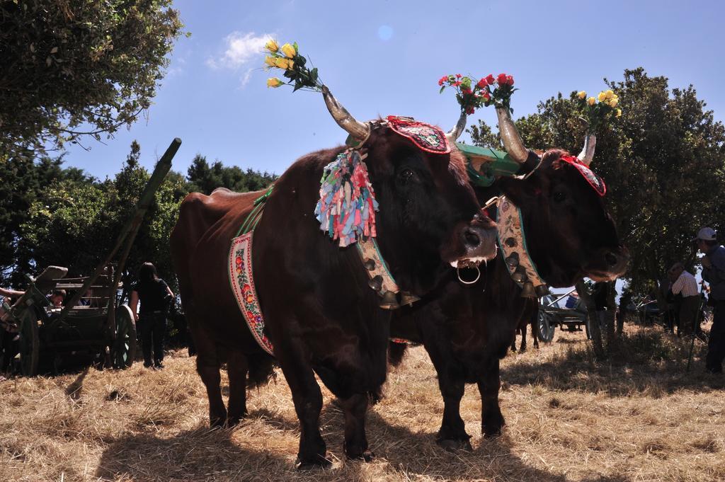 Agriturismo Rocca Su Moru Βίλα Arbus Εξωτερικό φωτογραφία