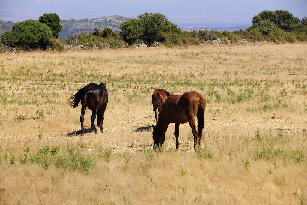 Agriturismo Rocca Su Moru Βίλα Arbus Εξωτερικό φωτογραφία
